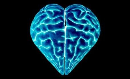 Un cervello fatto per amare