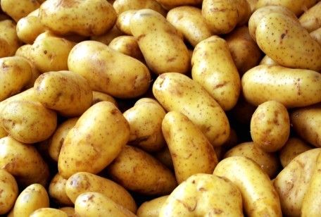 Come cucinare le patate, tante idee per i tuoi piatti 