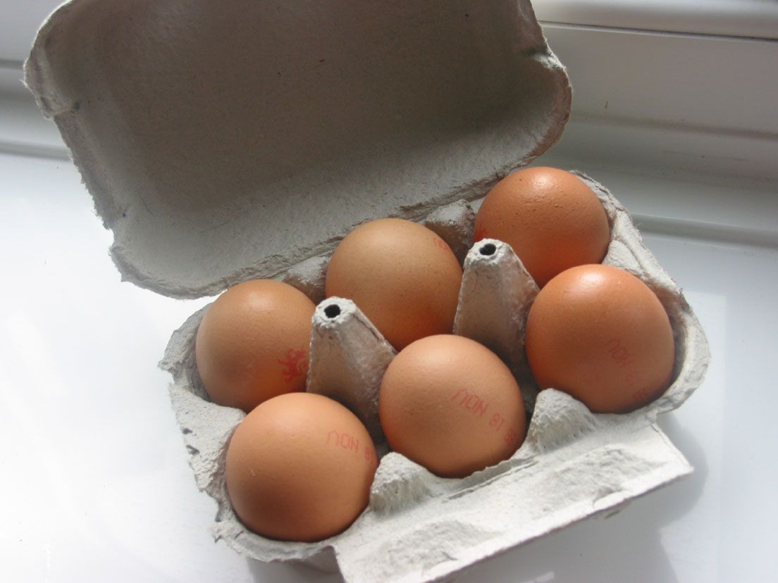 10 modi per riciclare i contenitori delle uova