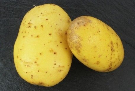 Come conservare le patate: tutti i trucchi