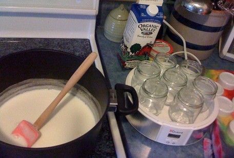 Yogurt fatto in casa: la ricetta