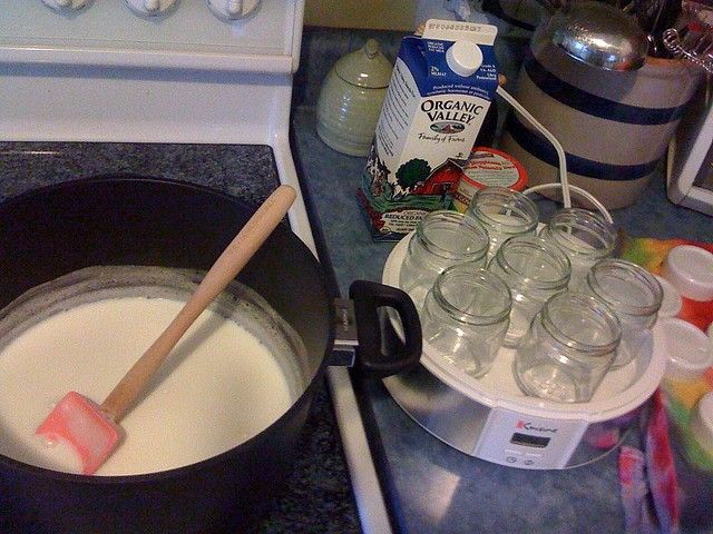 Yogurt fatto in casa: la ricetta