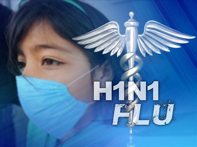 influenza h1n1 2013