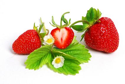 strawberries with leaf and flowers