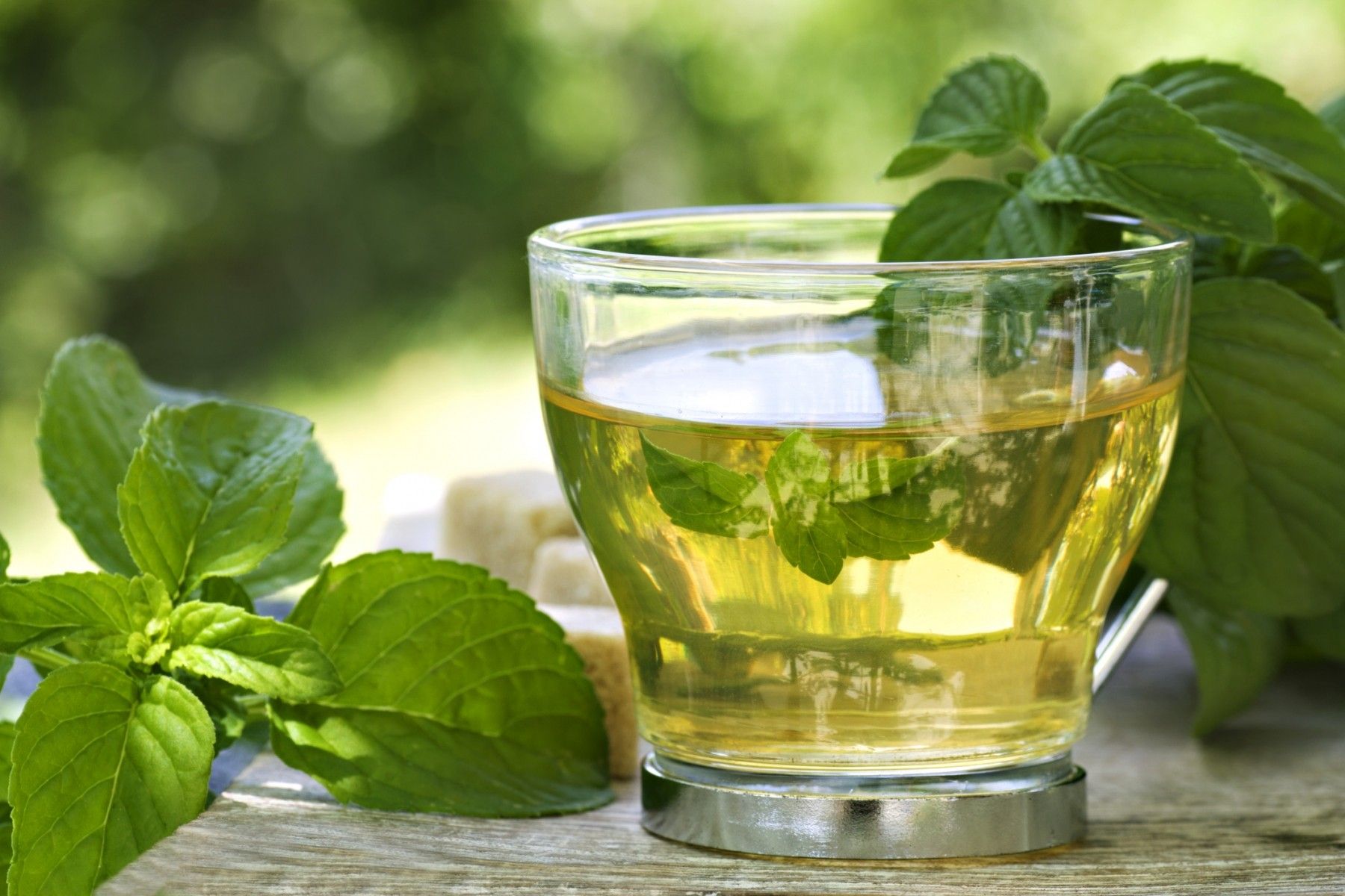 tè-verde-antifiammatorio