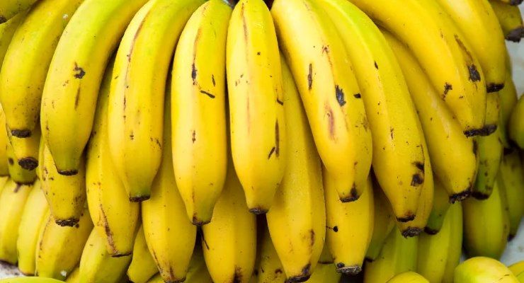 Banana con fungo