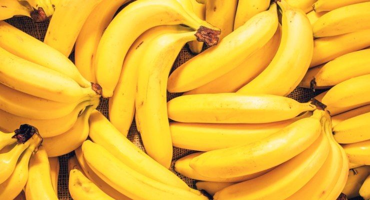 Banane fungo