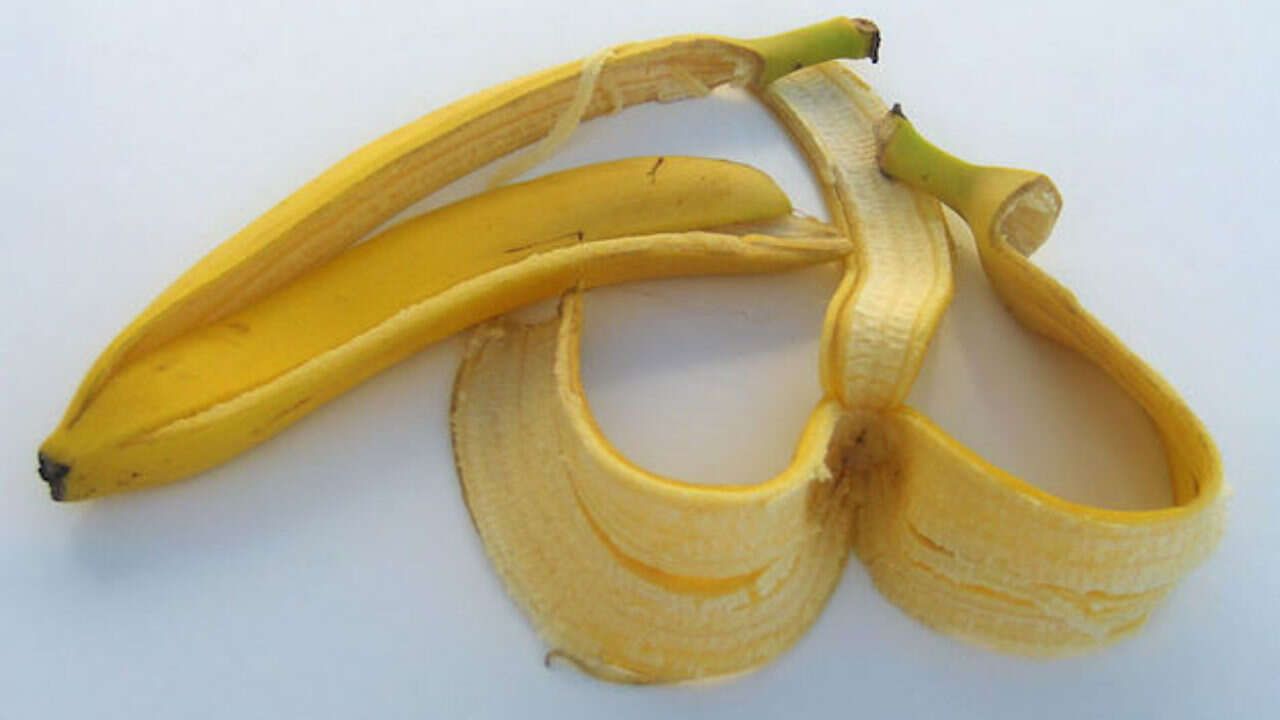 This image has an empty alt attribute; its file name is Bucce-di-banane.jpg