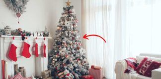 Dove si mette l'albero di Natale?