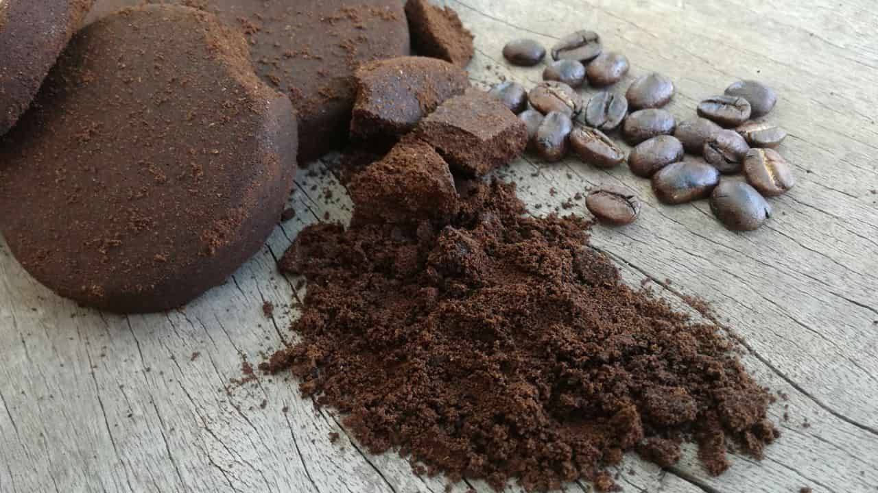 Grãos de café