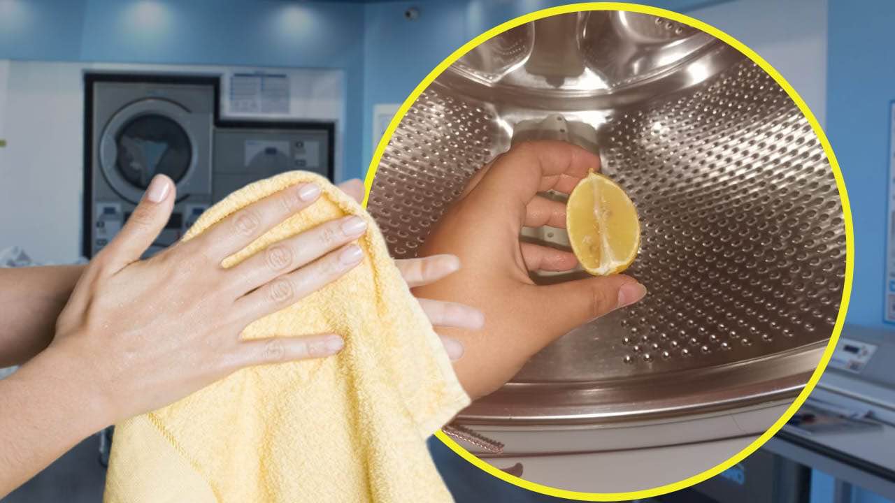 Limón en la lavadora