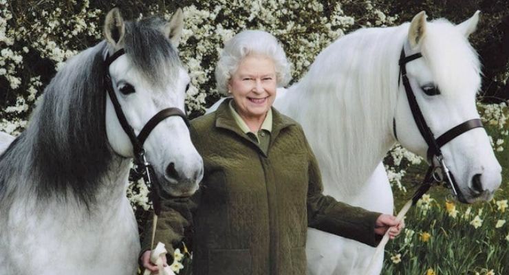 Regina Elisabetta II cavalli