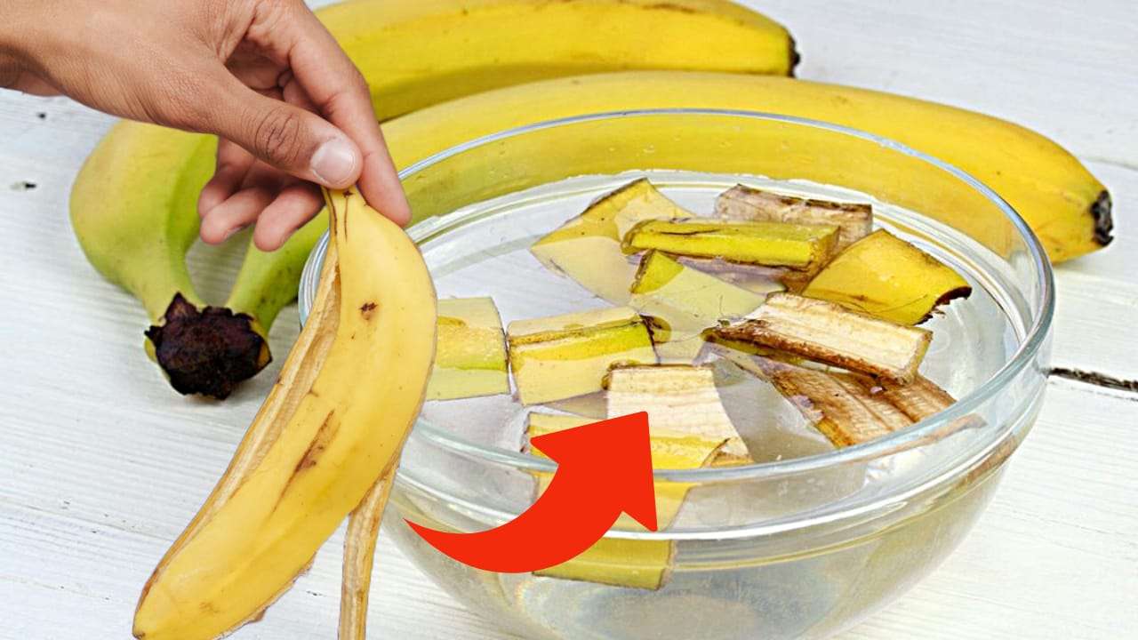 Pelure de banane