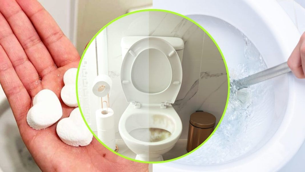 PORTA SCOPINO BAGNO ACCIAIO INOX LUCIDO WC VASO DECORAZIONE FORI