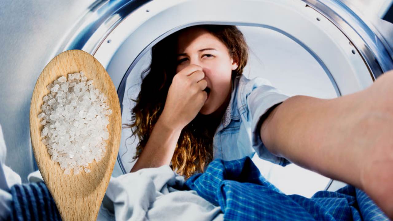 cattivo odore lavatrice
