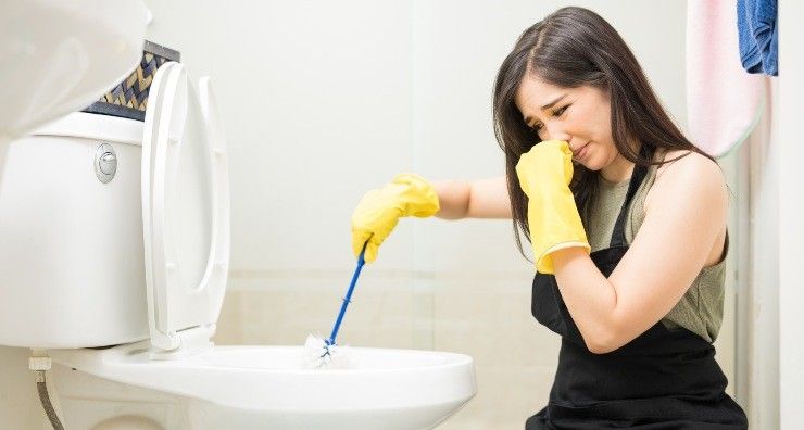 Élimine les mauvaises odeurs dans la salle de bain
