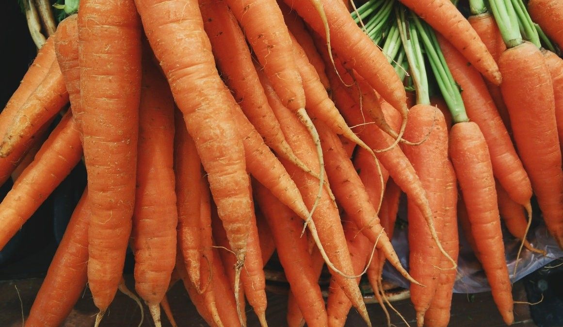 cibi rischio soffocamento carote