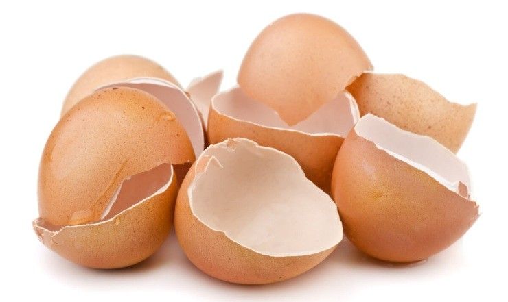 gusci d'uova