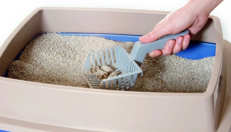 limpieza de caja de arena