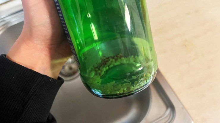 soda da bucato bottiglie 
