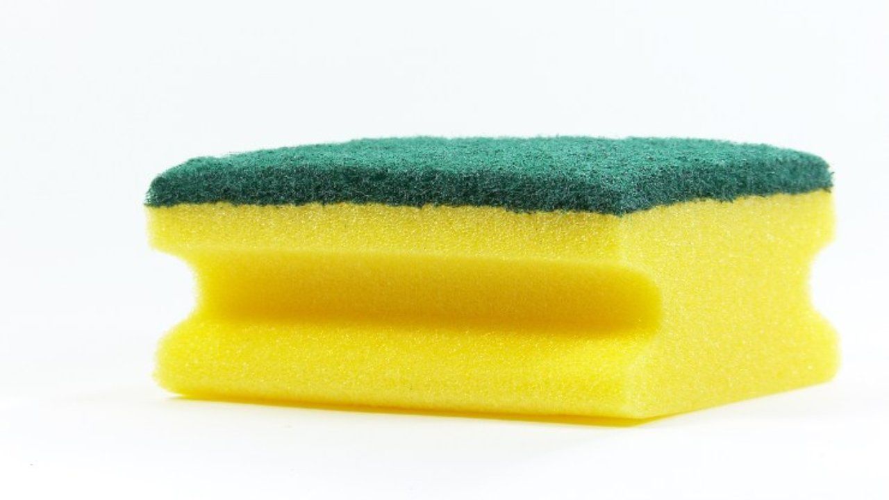 sponge in the washing machine
